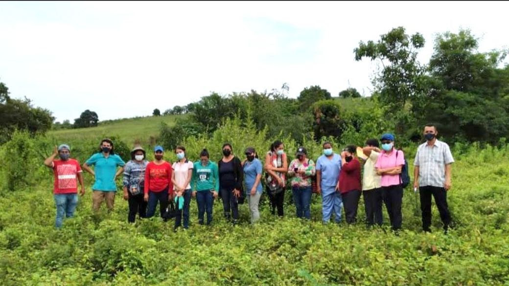 Produce organic tomatoes locally to be self-financing