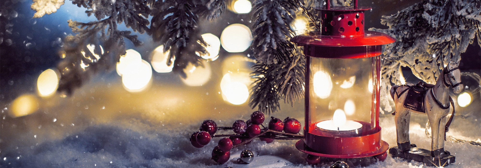 Felices fiestas ✨ Descubre nuestro último boletín informativo